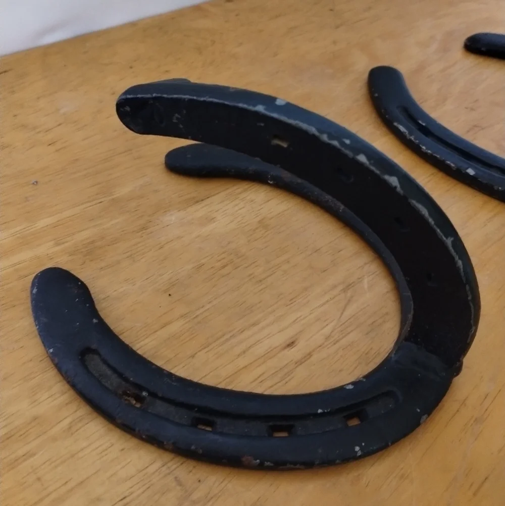 2 Cast iron horseshoe coat hanger home decor